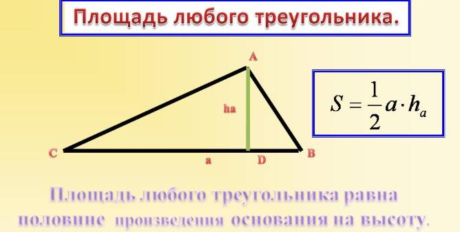 Площадь треугольника